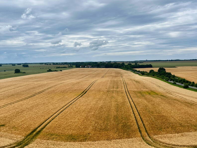 24-07-01 14-18-25 0079